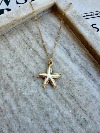 WHITE STARFISH