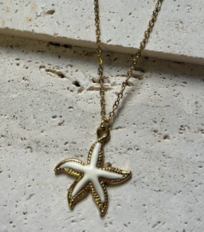 WHITE STARFISH